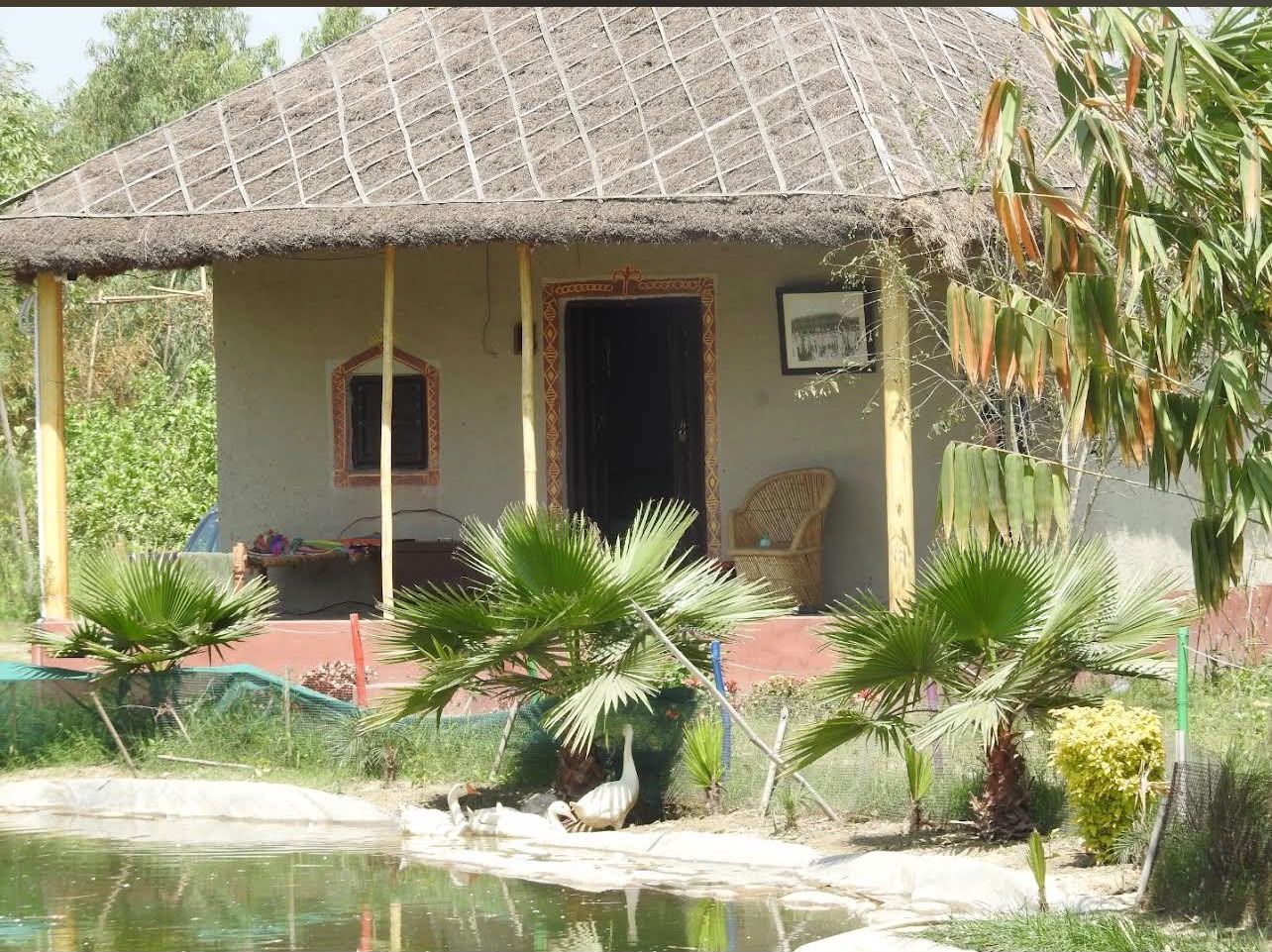 Cottage beside the pond with swans
