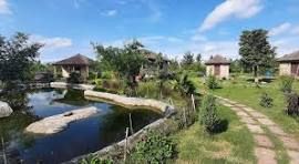 Garden path beside the fish pond with marigold flower beds