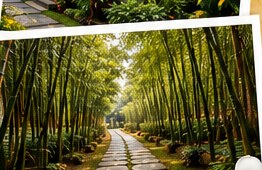 Tree-lined bamboo path at Sampada Village