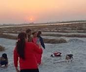 Guests watching the sunset over the fields